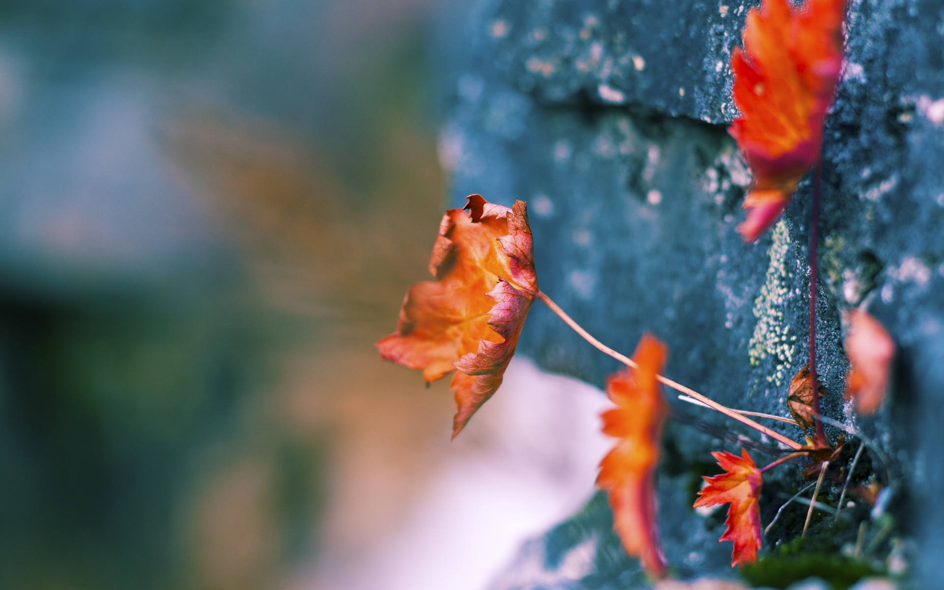 kaiyun sports safe-切尔西女足赞助商支持力度提升，切尔西女足队长