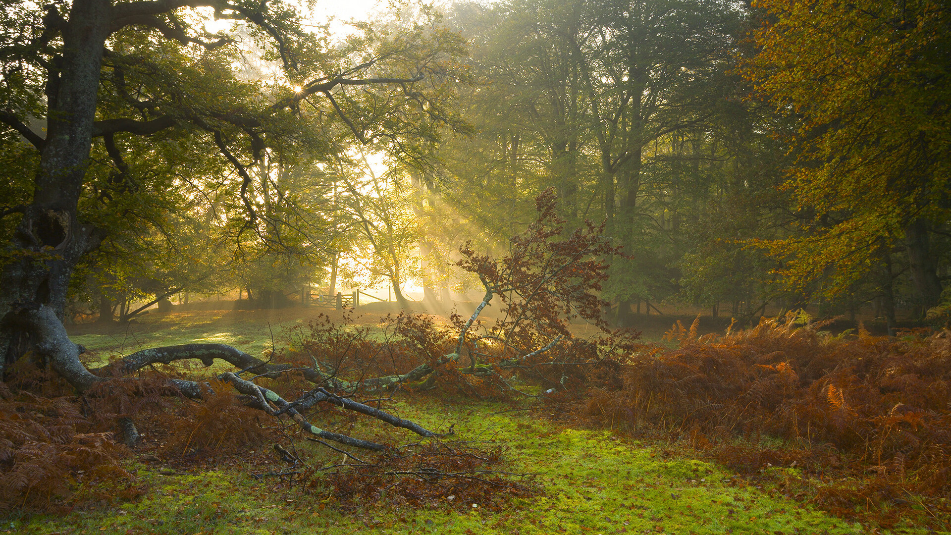 开云娱乐-萨默·麦金托什决赛表现引发媒体关注，麦金托什是谁