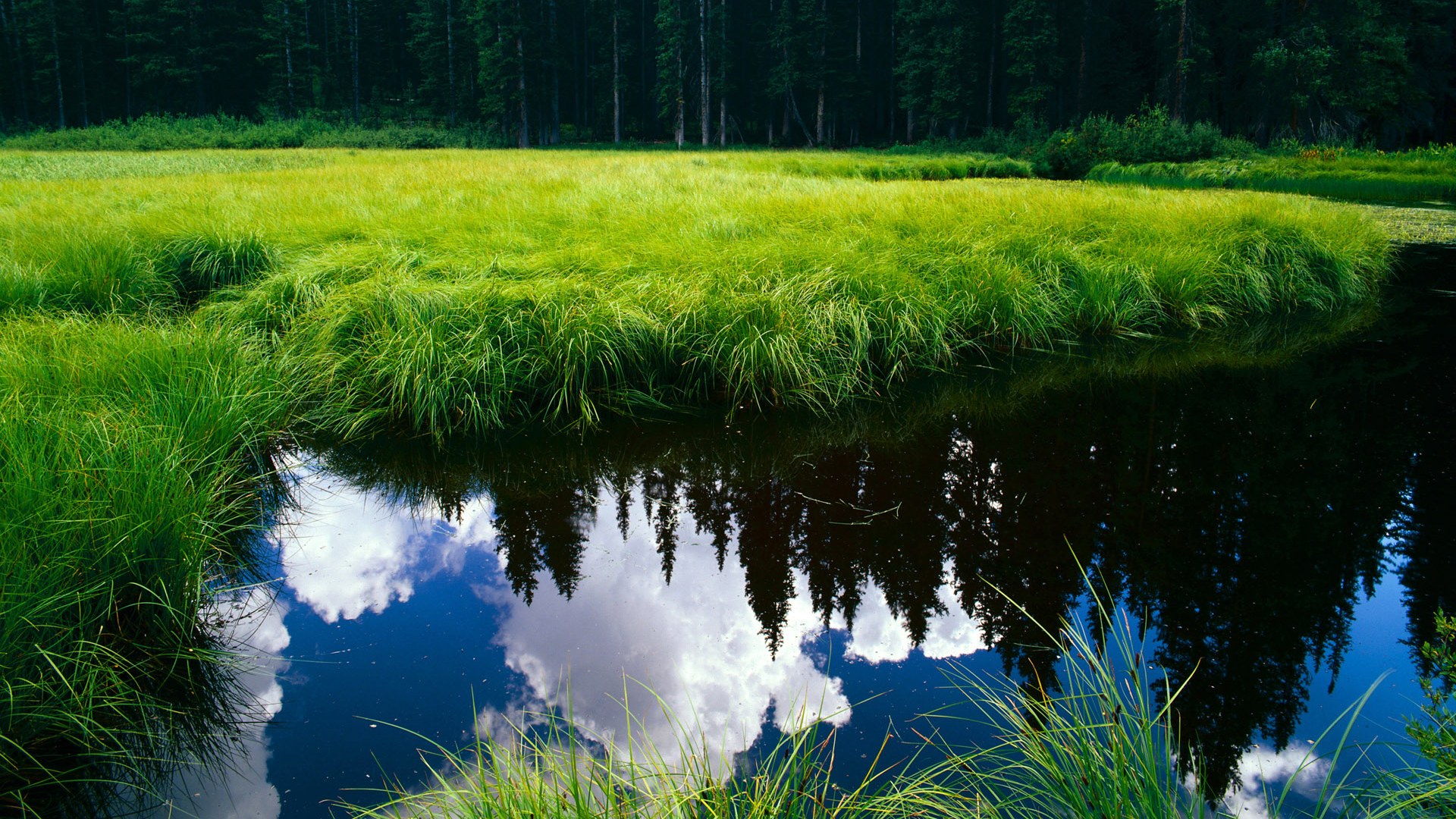开云体育官方网站-雷霆控卫赛后接受战术指导调整打法，雷霆队防守悍将